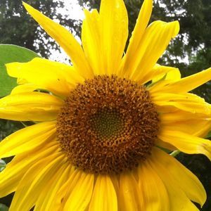 Meet your Posher, Wilson